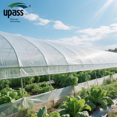 Cuộn Màng Nhựa Nhà Kính Chống UV Polythene Trong Suốt Dịch Vụ Cắt Theo Yêu Cầu Nông Nghiệp