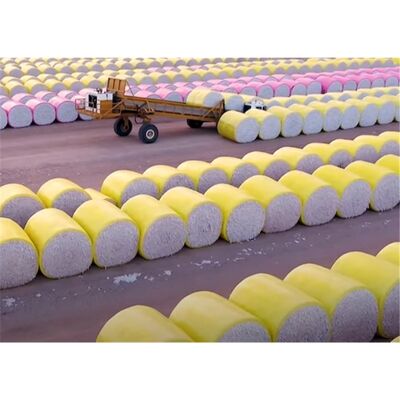 Màng Bọc Nông Nghiệp Bán Chạy Nhất